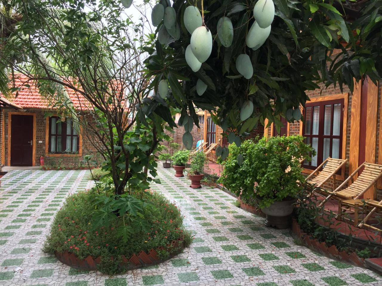 Tam Coc Vinh Thinh Homestay Ninh Binh Eksteriør billede